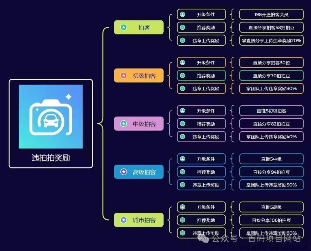 违拍拍，超强副业，全民拍违章赚收入！