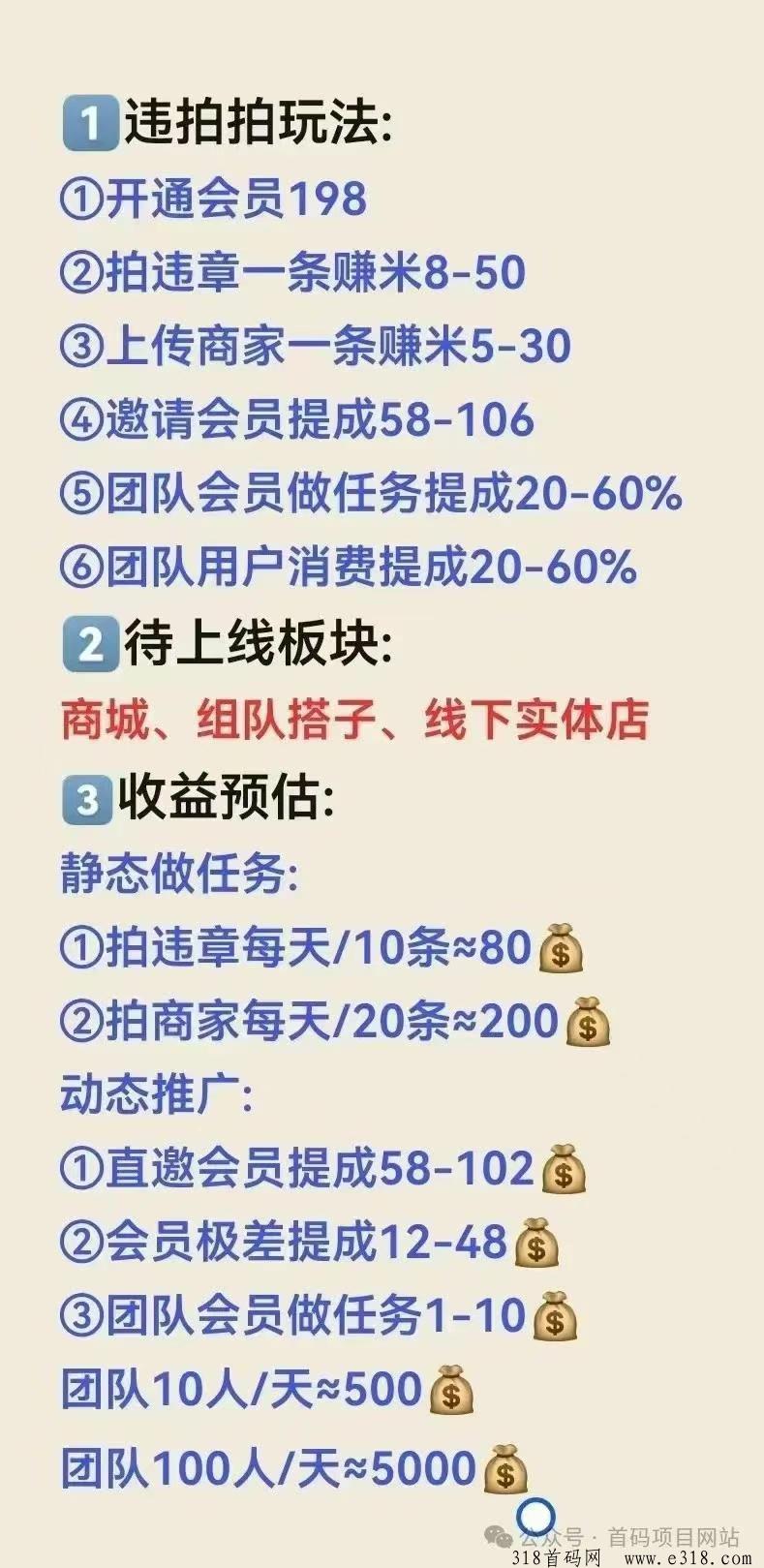 违拍拍，超强副业，全民拍违章赚收入！