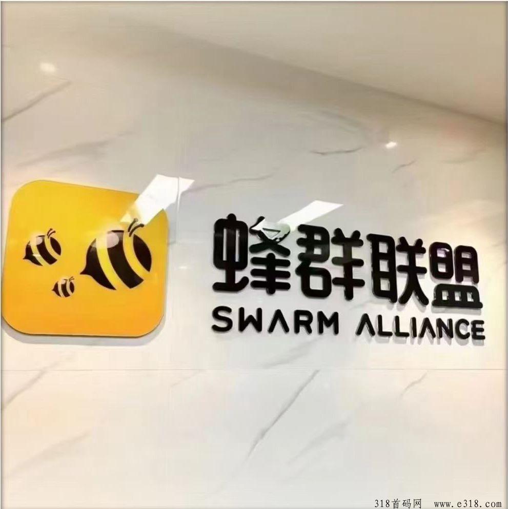 超级链接，首码对接，蜂群联盟，潮玩最佳新作，扶持拉满