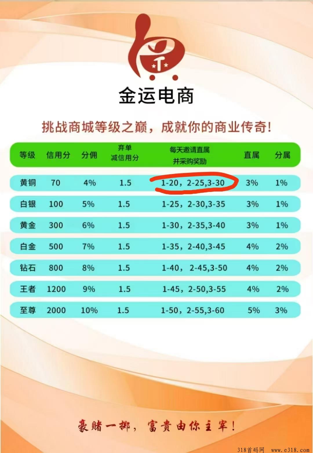 金运商城，无货源商城，无脑搬砖，对接团队