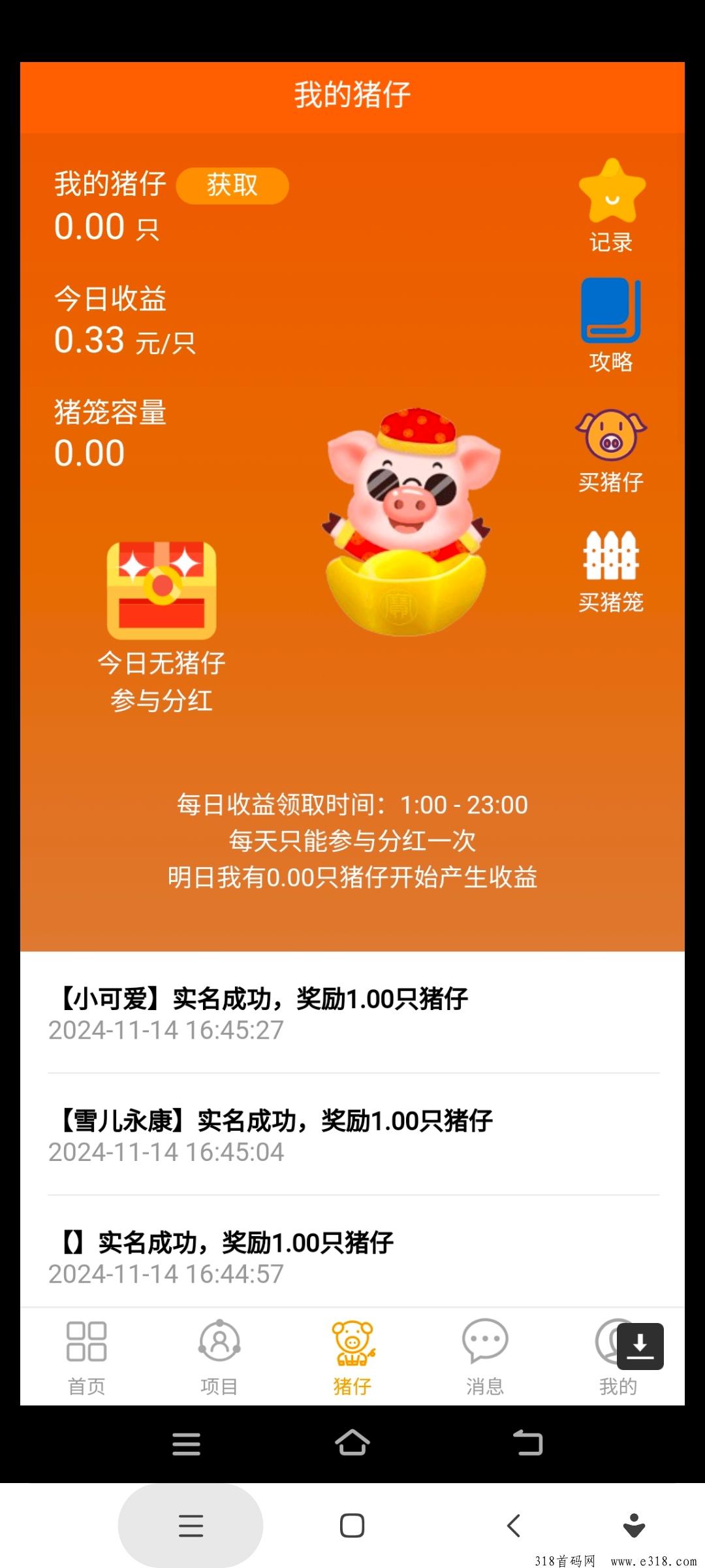 【首码】噜噜小肥猪，分红然猫模式，然猫模式