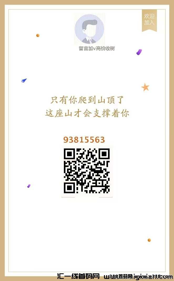 569e03bf3f20241203145756