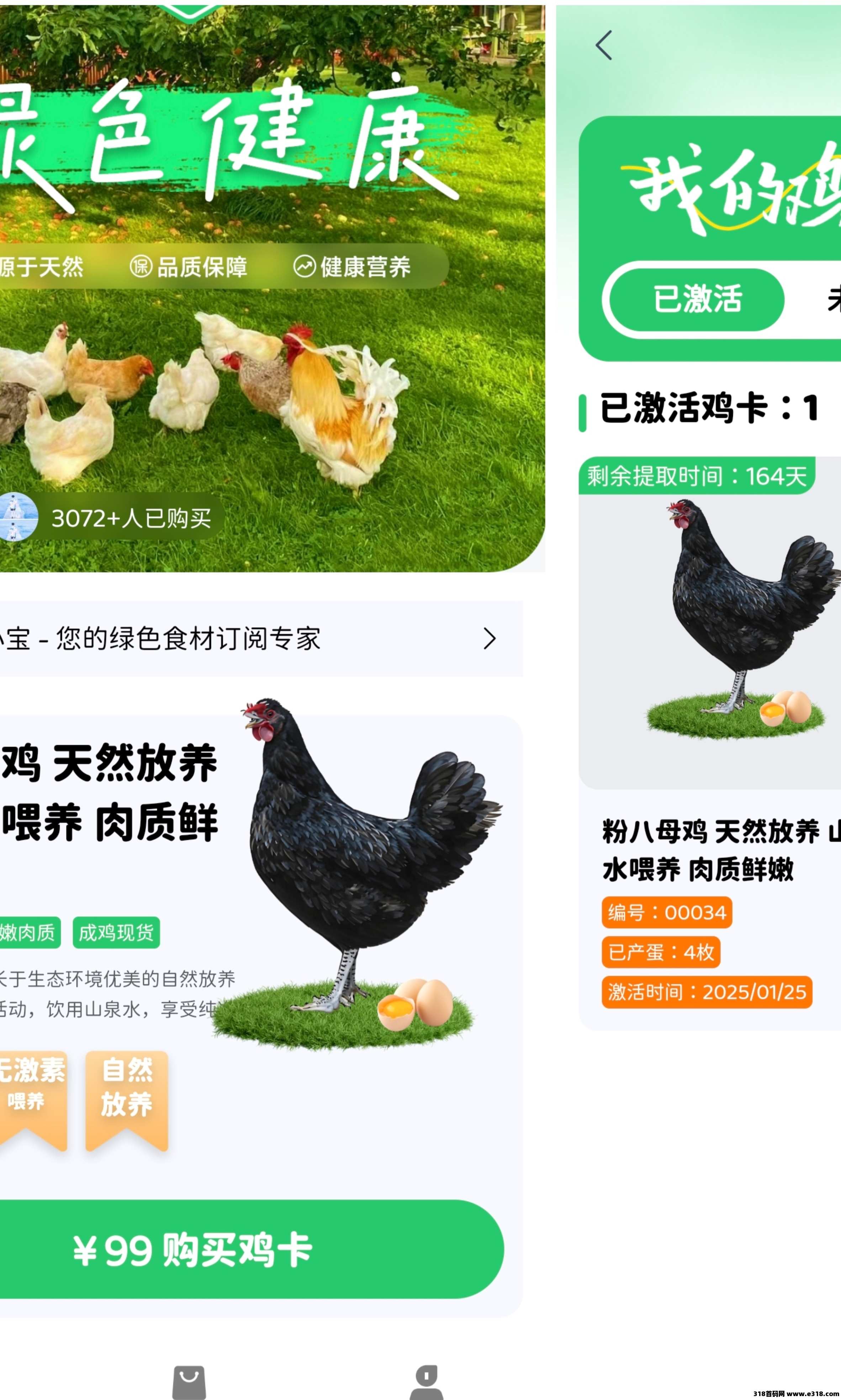 首码养鸡赚钱上线