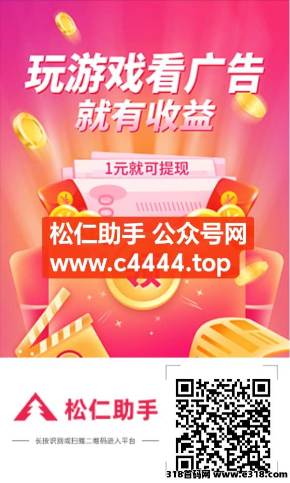 松仁助手【最强项目】