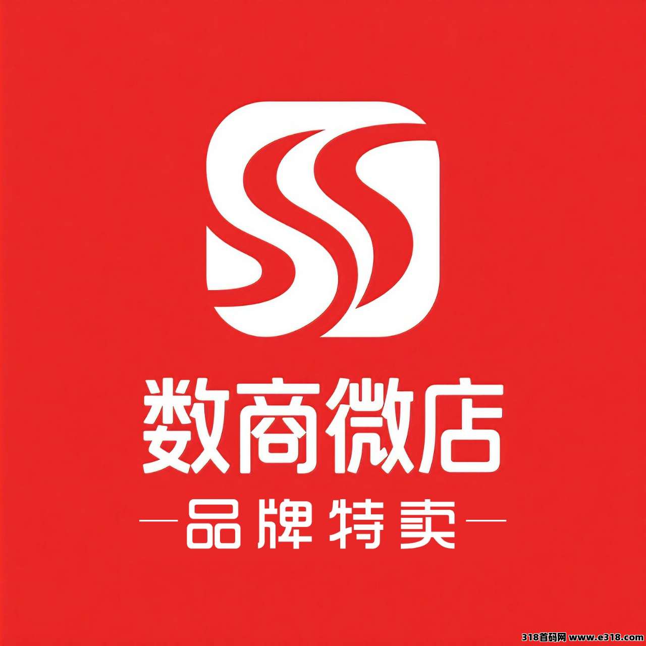 【数商微店】正波比0泡沫，静动结合，2025黑马项目，团队扶持拉满