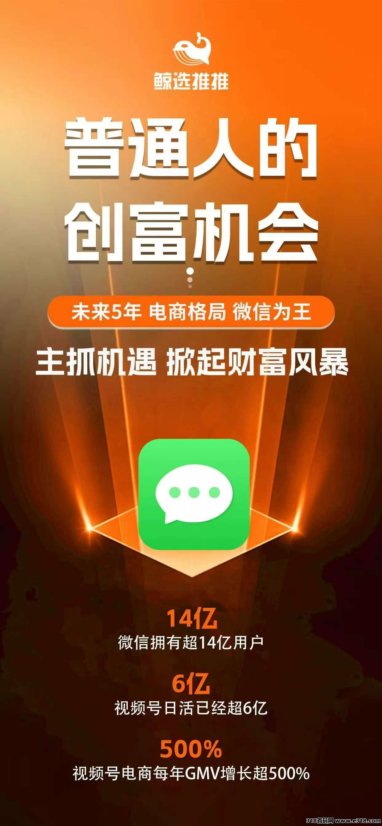 鲸选推推，视频号爆单揭秘