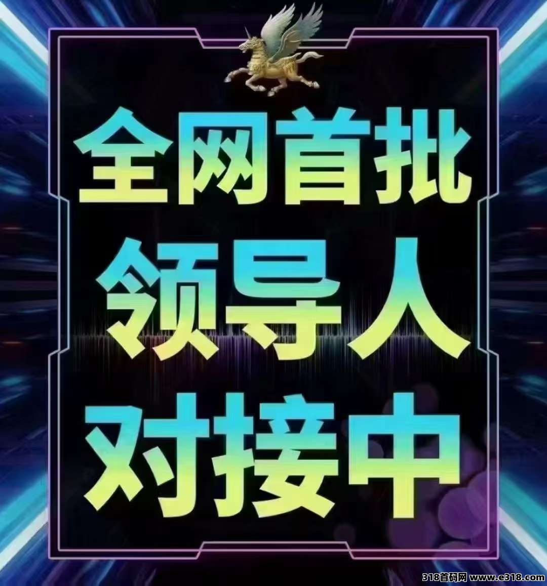 首码古董猫刚出，对接团队长