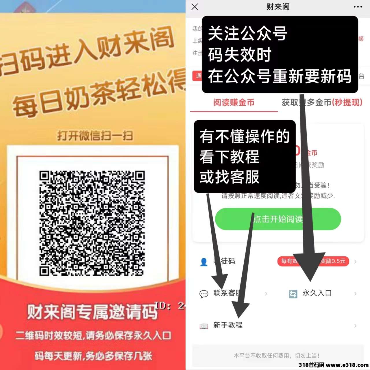 财来阁首码新出，最新阅读，单号一天收益高