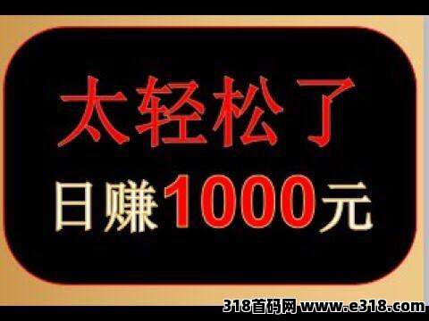日赚2K+，出海通道，全网最稳项目
