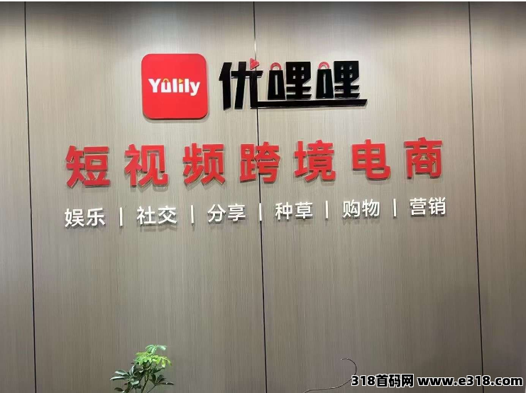 优哩哩Yulily：以智能个护小家电开拓大健康市场