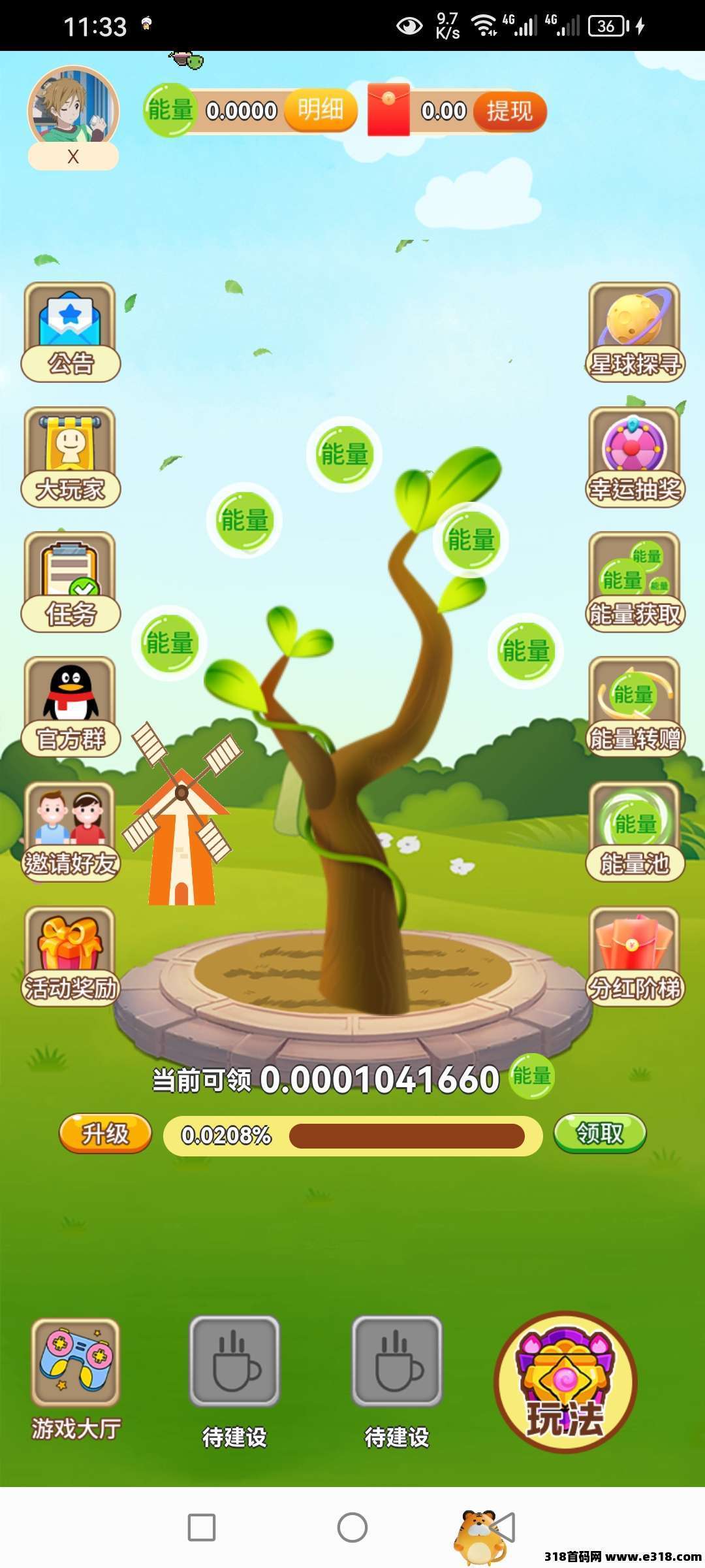 开心果树，活动棒棒的，零撸首码