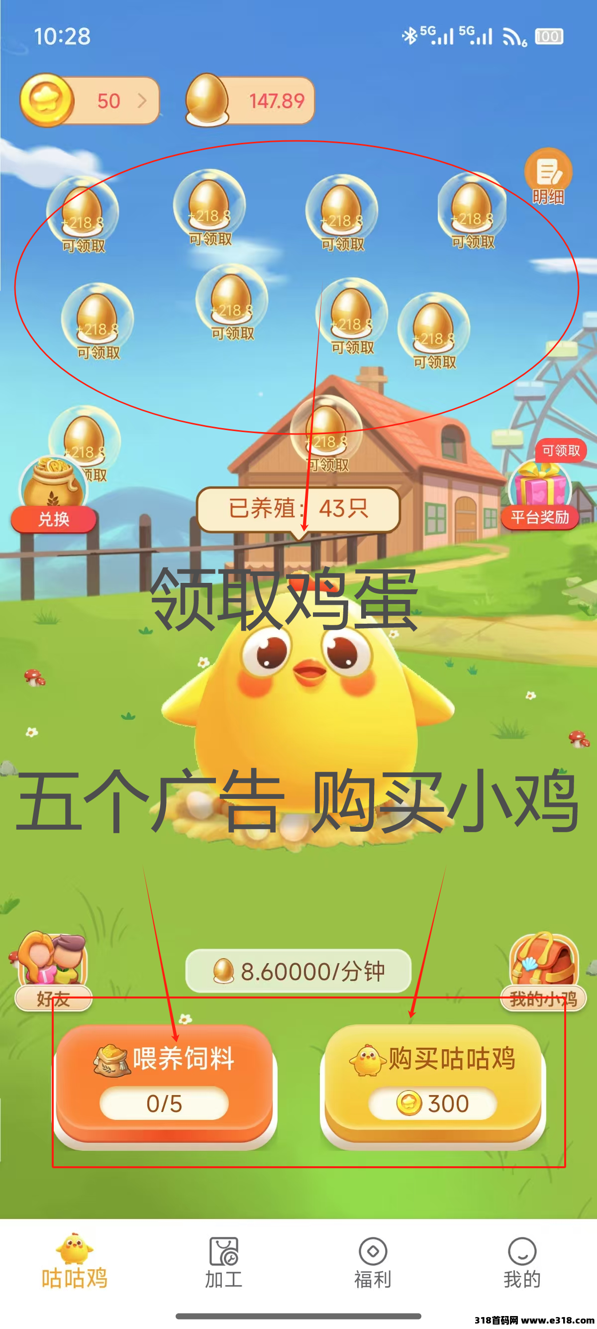 小鸡牧场：纯零撸每天可提