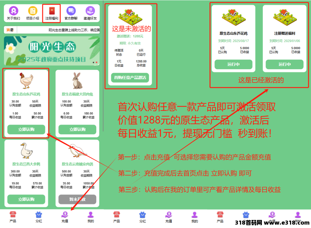 阳光生态正式拉开帷幕，为您的日常生活添上一抹智能与财富的亮色