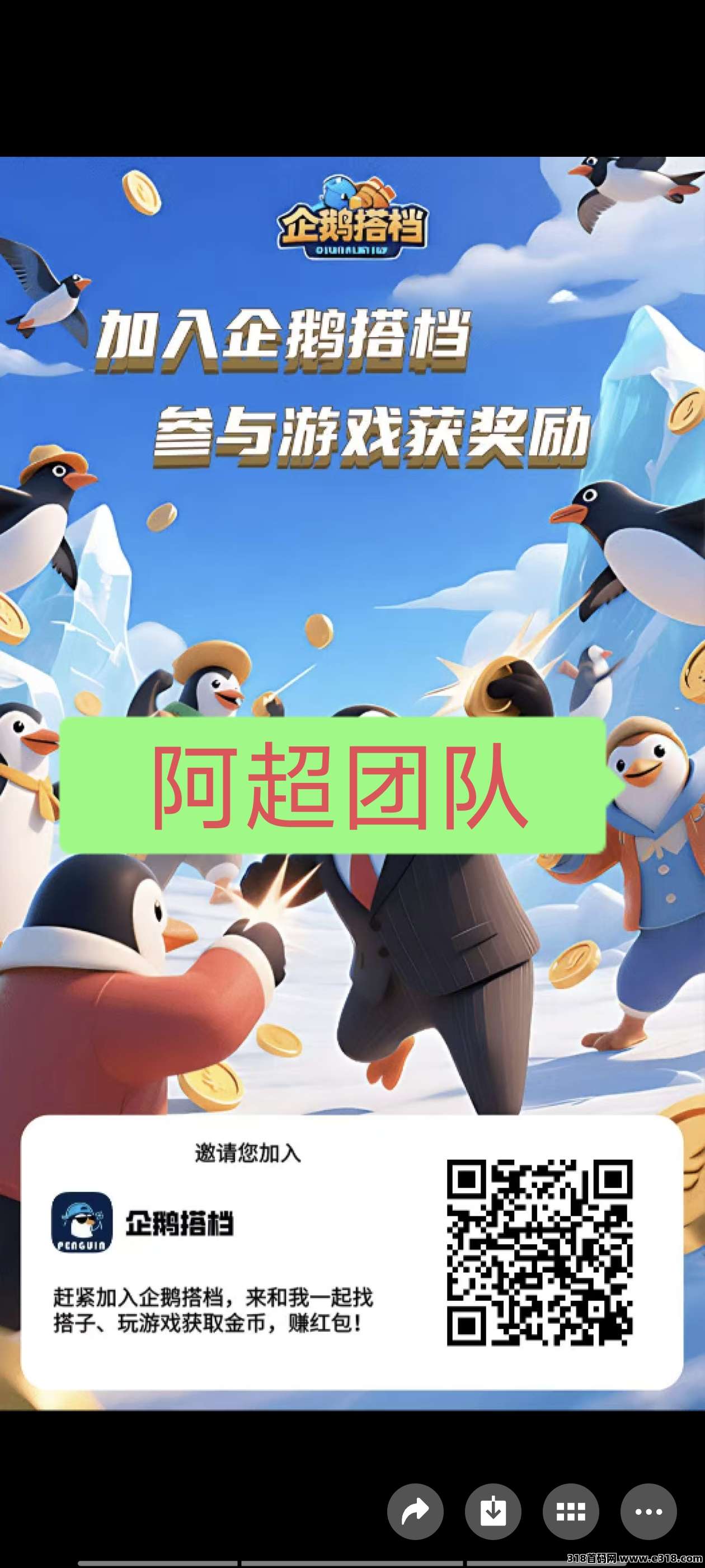 首码企鹅搭档，超级链接模式扶持散户