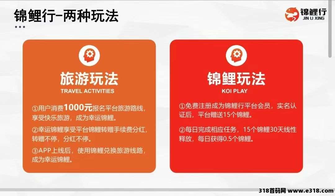 锦鲤行新出首码，0撸新模式+以旅游事业造血强，互联网+实体闭环稳