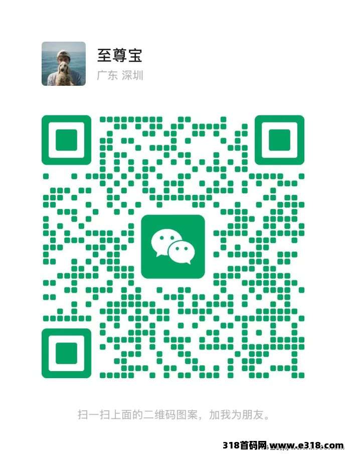 2025黑马项目！凤凰潮等升级版，综合性生态平台引领创新潮流