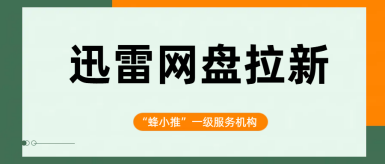 蜂小推，迅雷网盘推广，操作不难收益看得见
