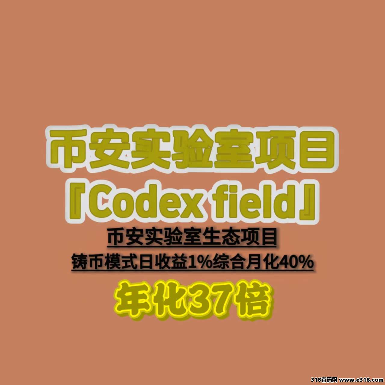币圈黑马|币安 MVB 顶流项目！CodexField 全球铸B开始！年化37倍对接团队长，扶持拉满！ 
