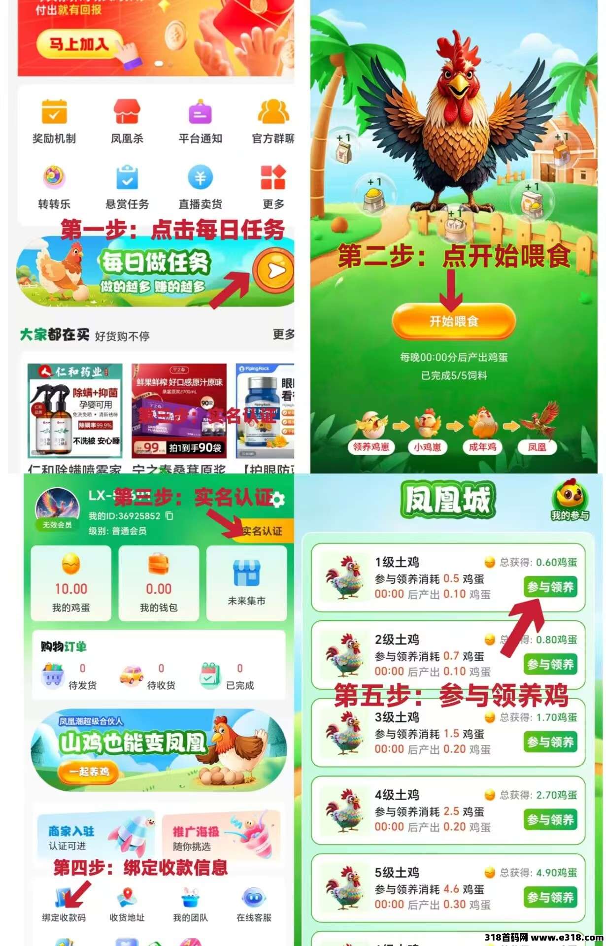 首码凤凰之城 养鸡，爬楼模式，2025年开山之作