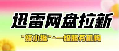 蜂小推,抓住零散时间,迅雷网盘拉新轻松拓收入 蜂小推,抓住零散时间,迅雷网盘拉新轻松拓收入