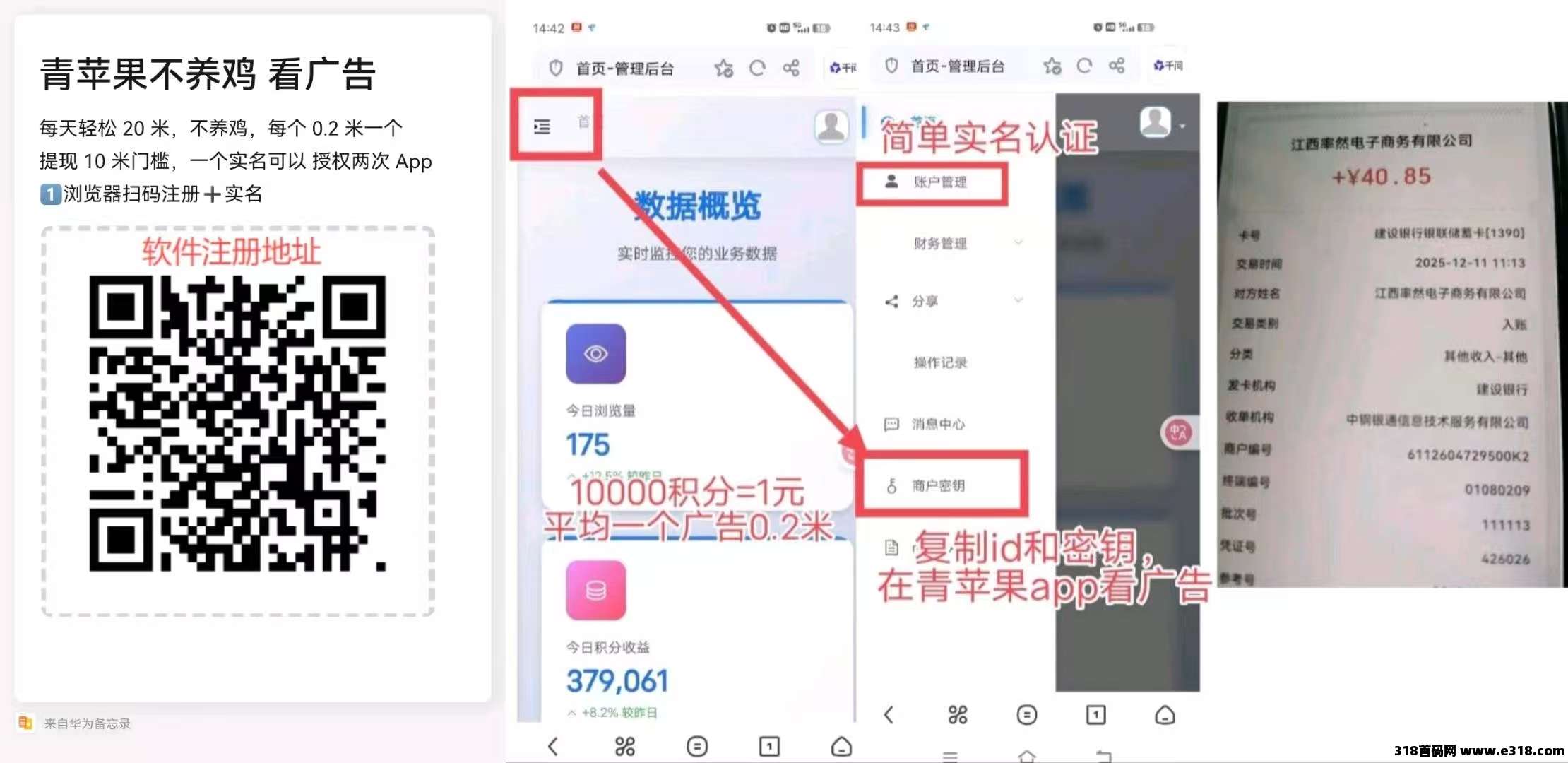 黑马项目青苹果！纯零撸，多号多撸，每天提米每天到！