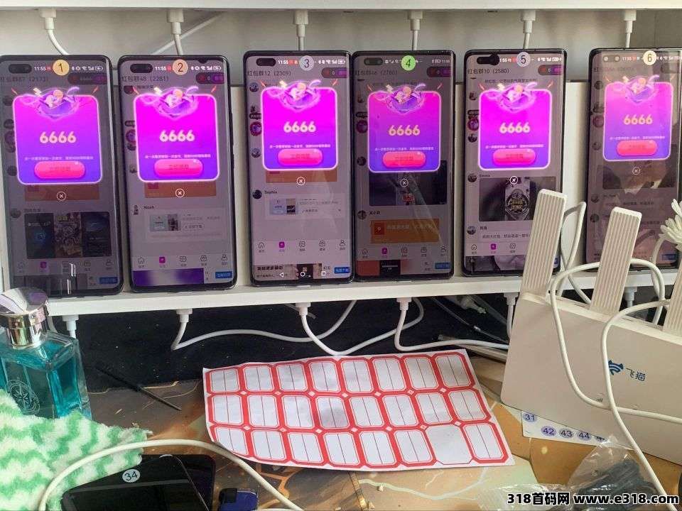 首码黄禾视界：开启零撸广告赚钱新纪元，错过再等一年，首码福利，高额扶持等你拿！