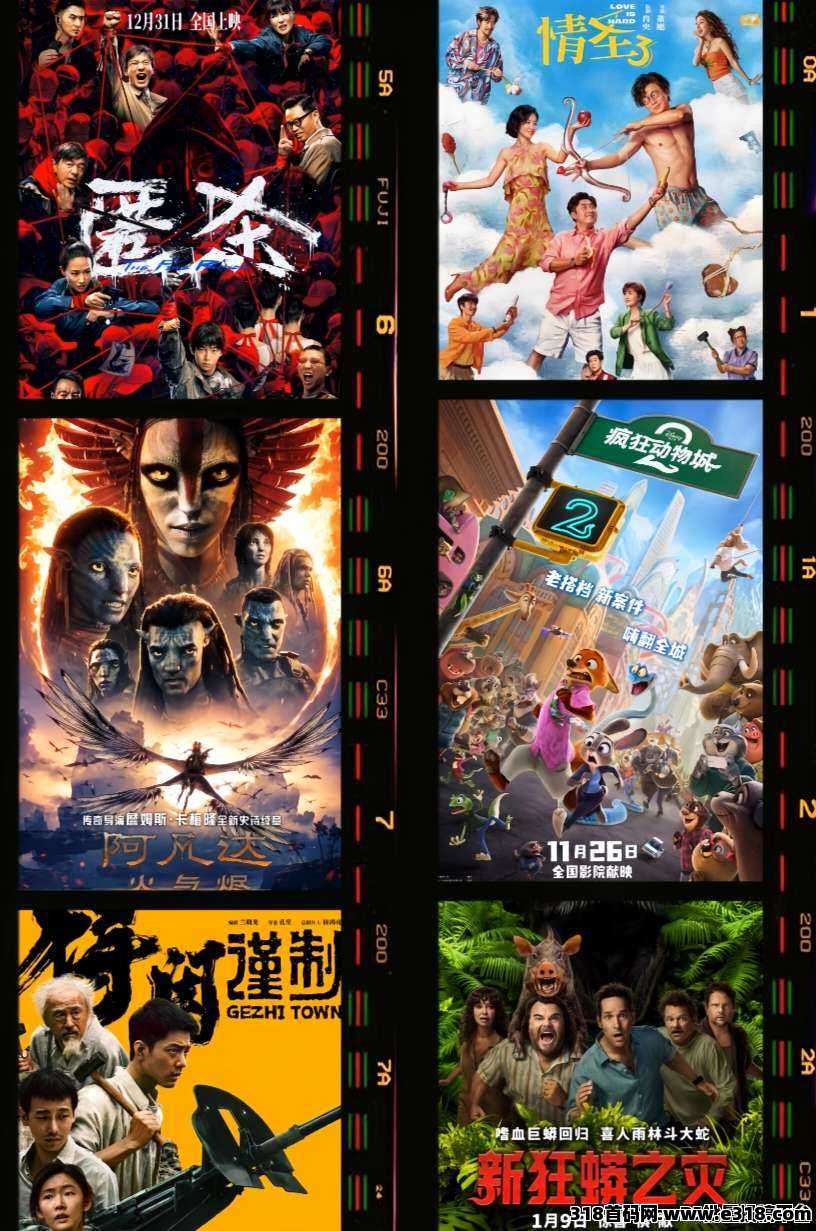 图片[9]-星选影视：边看剧边合规收益来源，0门槛0投入！-汇一线首码网