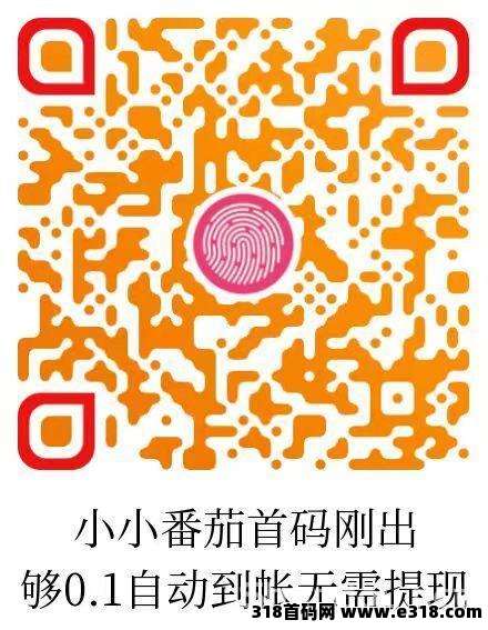 小番茄3年老项目稳定长久，金额累积到0.1元时 自助打款，省时省力